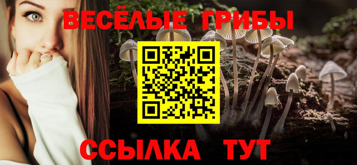 Галлюциногенные грибы мухоморы  Галлюциногенные грибы мухоморы  Новочебоксарск  Вход с VPN 
